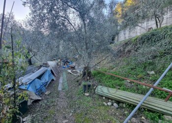 terreno - Terreno agricolo Strada degli Olandesi, Camporosso - foto 18