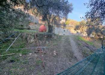 terreno - Terreno agricolo Strada degli Olandesi, Camporosso - foto 19