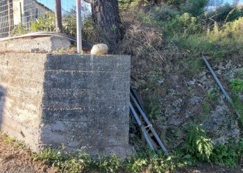 Terreno agricolo Strada degli Olandesi, Camporosso - foto 29