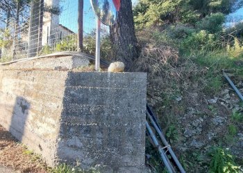 Terreno agricolo Strada degli Olandesi, Camporosso - foto 30