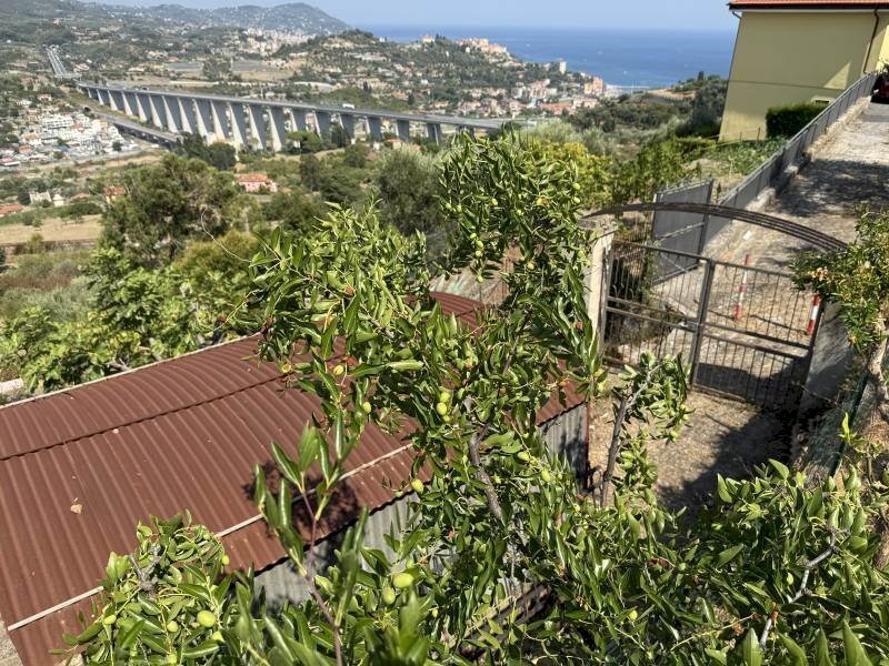 foto_3.jpg - Casa indipendente Strada Boccone, Imperia - foto 3