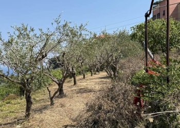 foto_13.jpg - Independent house Strada Boccone, Imperia - photo 13