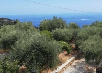 WhatsApp Image 2025-07-23 at 19.57.00 (2).jpeg - Mansarda Strada del colle, Imperia - foto 21