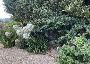 14 (3).jpeg - Villa Via San Benedetto, Imperia - photo 28