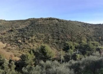 282322714.jpg - Independent house Regione Peirè, Civezza - photo 11