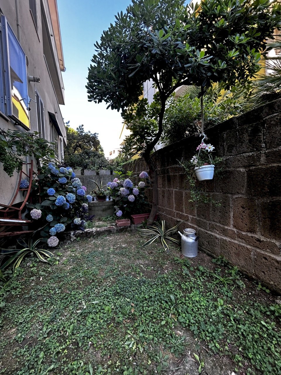 IMG_5290.jpg - Quadrilocale Viale Maiella 23/A, Francavilla al Mare - foto 2