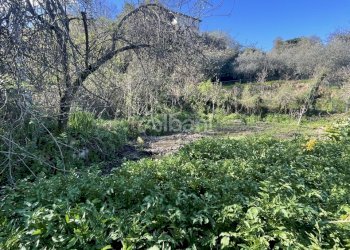 VE431_terreno in vendita con rustico e cantina - V - Rustico Via Valle 13, Vezzano Ligure - foto 15