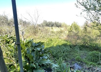 VE431_terreno in vendita con rustico e cantina - V - Rustico Via Valle 13, Vezzano Ligure - foto 16