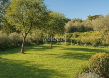 VE431_terreno in vendita con rustico e cantina - V - Rustico Via Valle 13, Vezzano Ligure - foto 17