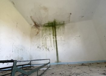 VE431_terreno in vendita con rustico e cantina - V - Rustico Via Valle 13, Vezzano Ligure - foto 23