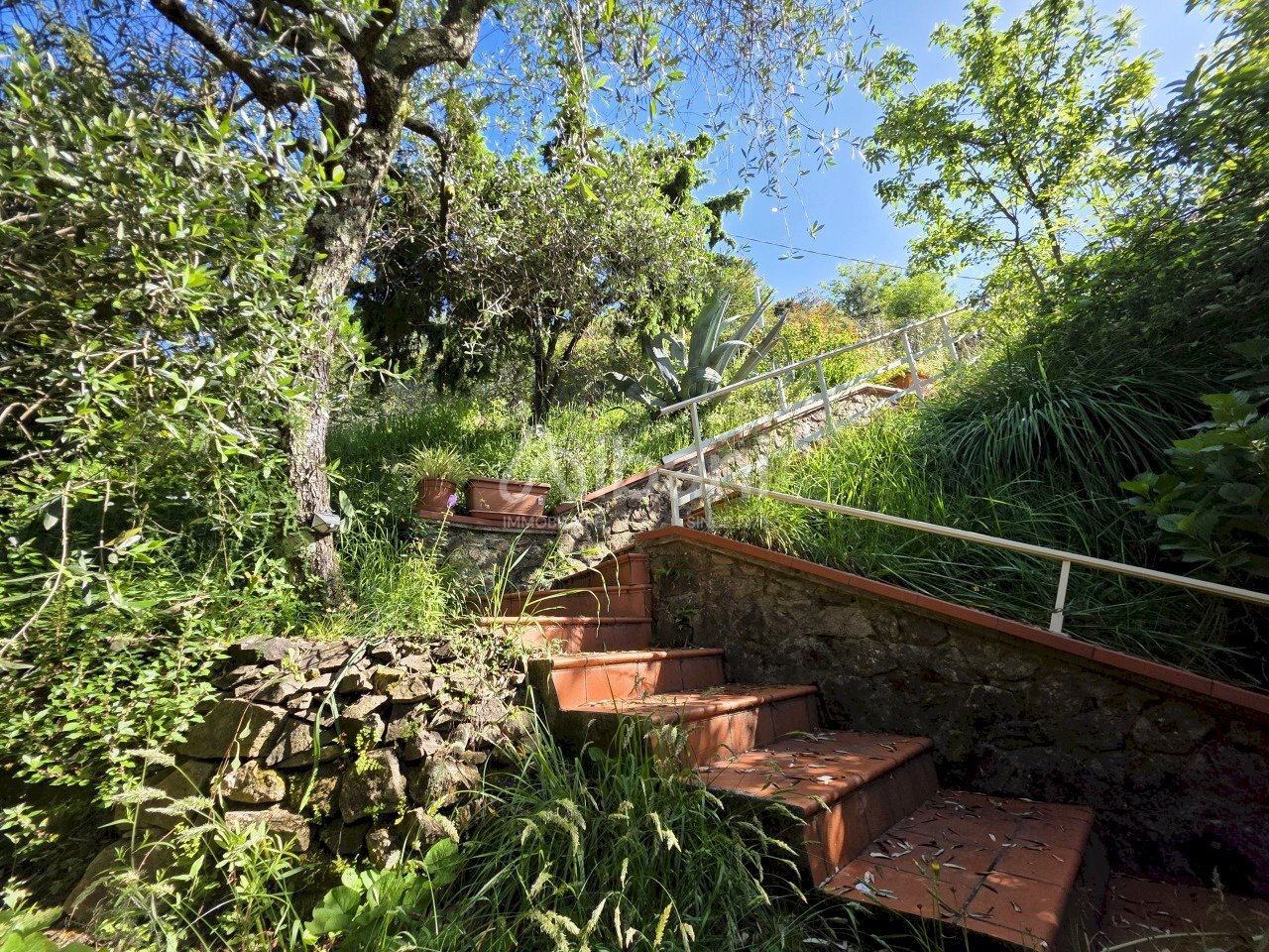 IN501_casetta_indipendente_vendita_giardino_terren - Villa Follo - foto 3