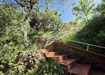 IN501_casetta_indipendente_vendita_giardino_terren - Villa Follo - foto 3