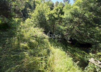 IN501_casetta_indipendente_vendita_giardino_terren - Villa Follo - foto 13