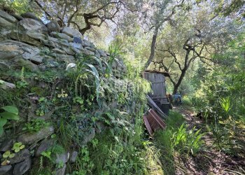 IN501_casetta_indipendente_vendita_giardino_terren - Villa Follo - foto 14