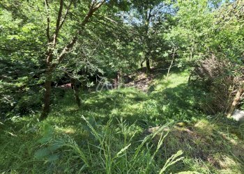 IN501_casetta_indipendente_vendita_giardino_terren - Villa Follo - foto 15