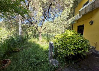 IN501_casetta_indipendente_vendita_giardino_terren - Villa Follo - foto 16