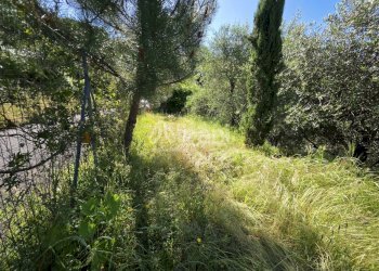 IN501_casetta_indipendente_vendita_giardino_terren - Villa Follo - foto 18