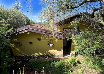 IN501_casetta_indipendente_vendita_giardino_terren - Villa Follo - foto 25