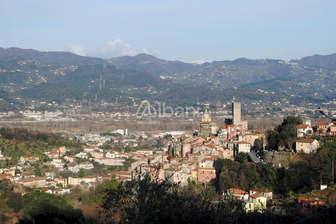 AFFITTO TERRENO - TE181 - Zona industriale Arcola - Terreno edificabile Via Monte Sagro, Arcola - foto 2