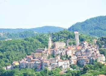 AFFITTO TERRENO - TE181 - Zona industriale Arcola - Terreno edificabile Via Monte Sagro, Arcola - foto 1