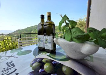 IN414_casa indipendente_vendita_la spezia collina_ - Villa Vezzano Ligure - foto 9