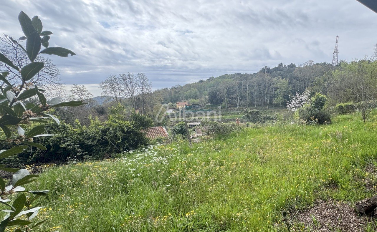 LE2039_ROCCHETTA_FABBRICATO_CON_DEPENDACE (31).JPG - Casa indipendente Via Rocchetta, Lerici - foto 3