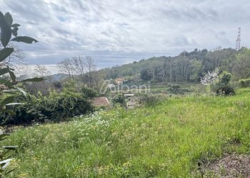 LE2039_ROCCHETTA_FABBRICATO_CON_DEPENDACE (31).JPG - Casa indipendente Via Rocchetta, Lerici - foto 3