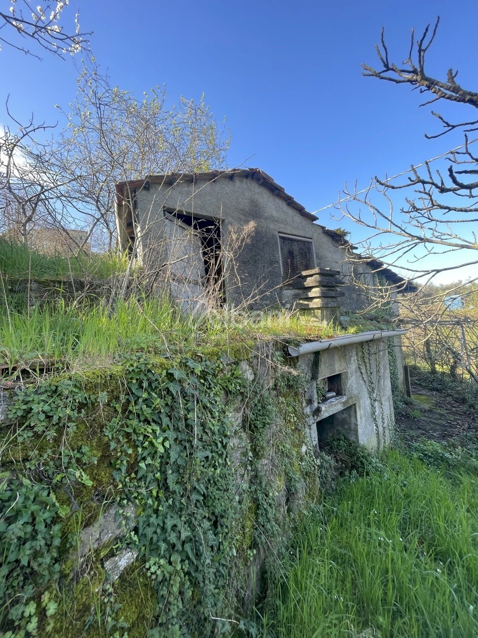 TE180_terreno in vendita con rustico e cantina - V - Terreno agricolo Via Valle 13, Vezzano Ligure - foto 1