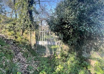 TE180_terreno in vendita con rustico e cantina - V - Terreno agricolo Via Valle 13, Vezzano Ligure - foto 3