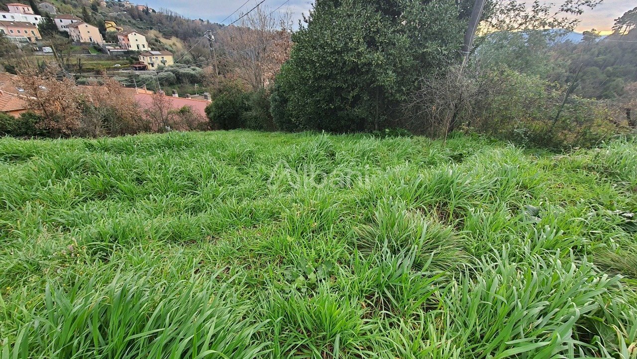 TE174_VENDITA_TERRENO EDIFICABILE_COLLINA DI LA SP - Terreno agricolo Vezzano Ligure - foto 3