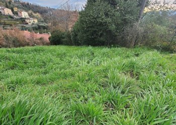 TE174_VENDITA_TERRENO EDIFICABILE_COLLINA DI LA SP - Terreno agricolo Vezzano Ligure - foto 3