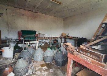 TE174_VENDITA_TERRENO EDIFICABILE_COLLINA DI LA SP - Terreno agricolo Vezzano Ligure - foto 6