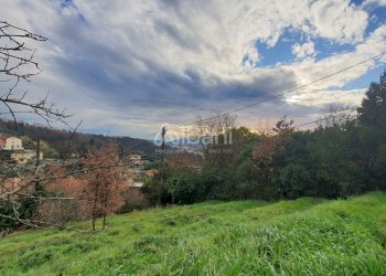 TE174_VENDITA_TERRENO EDIFICABILE_COLLINA DI LA SP - Terreno agricolo Vezzano Ligure - foto 8