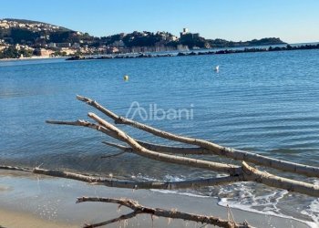 AC231_RISTORANT_SATERENZO (21).jpg - Ristorante Lerici - foto 9