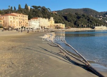 AC231_RISTORANT_SATERENZO (23).jpg - Ristorante Lerici - foto 11