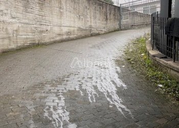 AFF491_AFFITTASI_FONDO_COMMERCIALE_AULLA (1).jpg - Capannone Aulla - foto 7