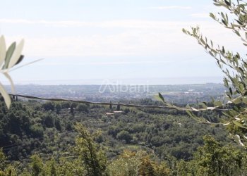 IN185_vendita_sarzana_casa_indipendente_giardino ( - Independent house Via Monticello 59, Sarzana - photo 4