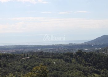 IN185_vendita_sarzana_casa_indipendente_giardino ( - Independent house Via Monticello 59, Sarzana - photo 5