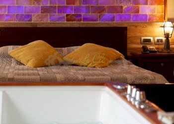 VENDITA BRISSOGNE - HOTEL - Hotel - Accommodation facility Brissogne - photo 19