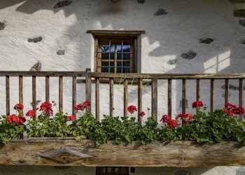 AFFITTO COURMAYEUR: esterno - Baita Località Peuterey 15, Courmayeur - foto 21