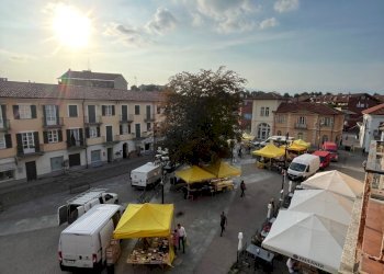 IMG_4504.jpg - Trilocale Piazza Giacomo Matteotti 2, Grugliasco - foto 1