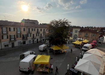 IMG_4505.jpg - Trilocale Piazza Giacomo Matteotti 2, Grugliasco - foto 7