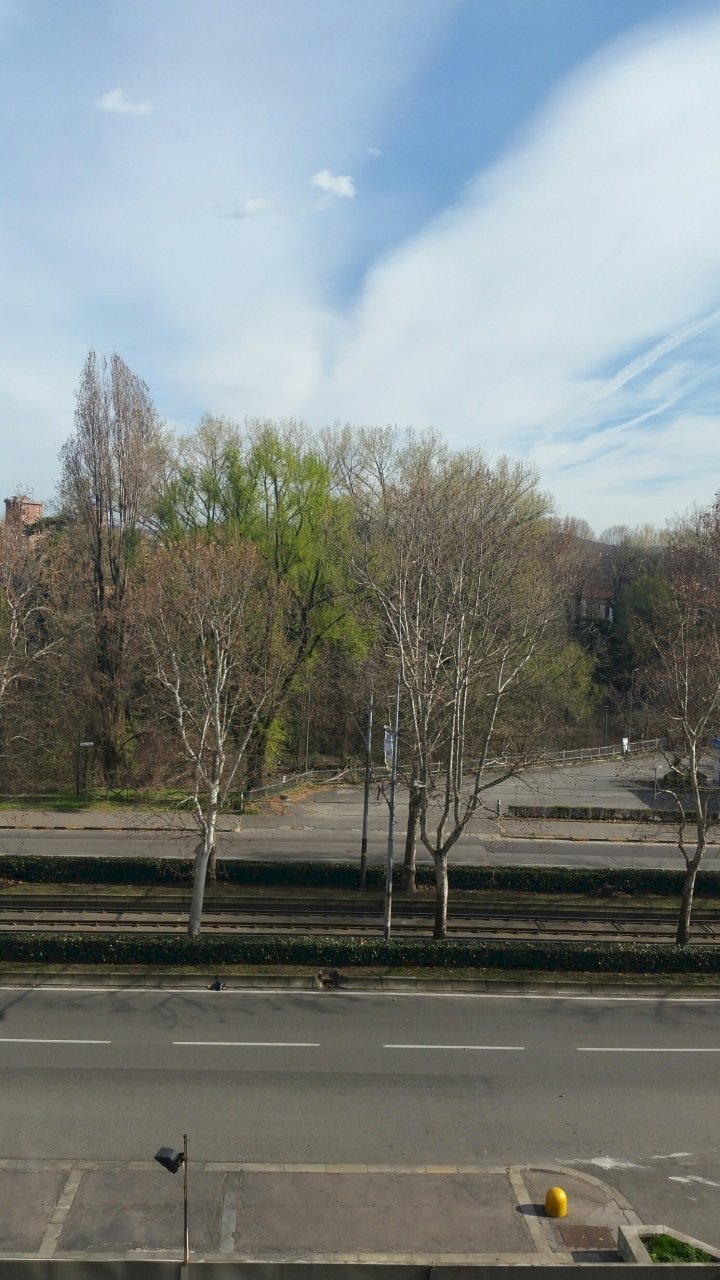 20190315_151445_1552929905714_resized.jpg - Loft Corso Svizzera 185 bis, Torino - foto 2