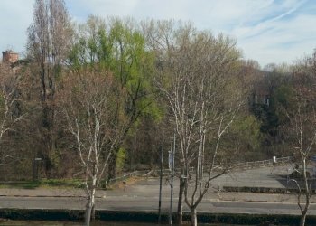 20190315_151445_1552929905714_resized.jpg - Loft Corso Svizzera 185 bis, Torino - foto 2