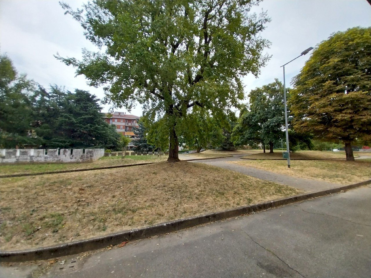 Parco con giardino e parcheggio (3).jpg - Quadrilocale Via Vincenzo Gioberti 19, Orbassano - foto 3