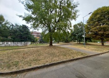 Parco con giardino e parcheggio (3).jpg - Quadrilocale Via Vincenzo Gioberti 19, Orbassano - foto 3