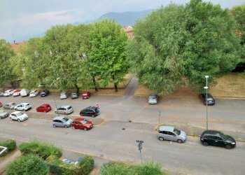 Parco con giardino e parcheggio (5).jpg - Quadrilocale Via Vincenzo Gioberti 19, Orbassano - foto 5