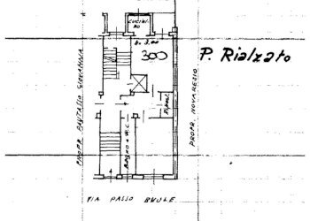 plan.jpeg - Bilocale Via Passo Buole 67, Torino - foto 15