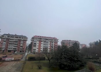 IMG_8485.jpg - Trilocale Beinasco - foto 23