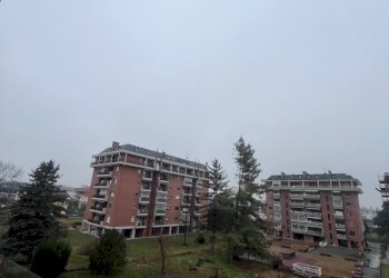 IMG_8486.jpg - Trilocale Beinasco - foto 24